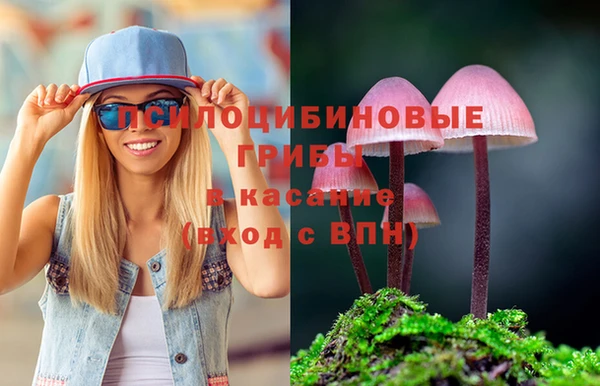 прущая мука Осинники